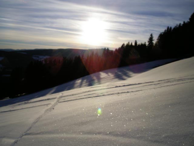 freies Gel&auml;nde westlich der Sonnenhangabfahrt