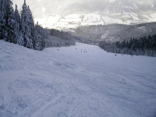 FIS-Abfahrt Kaltenbach