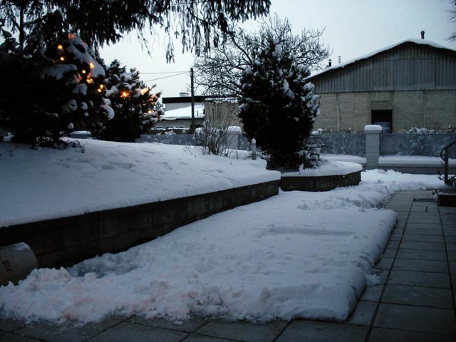 Garten meiner Eltern (29. Dez.)