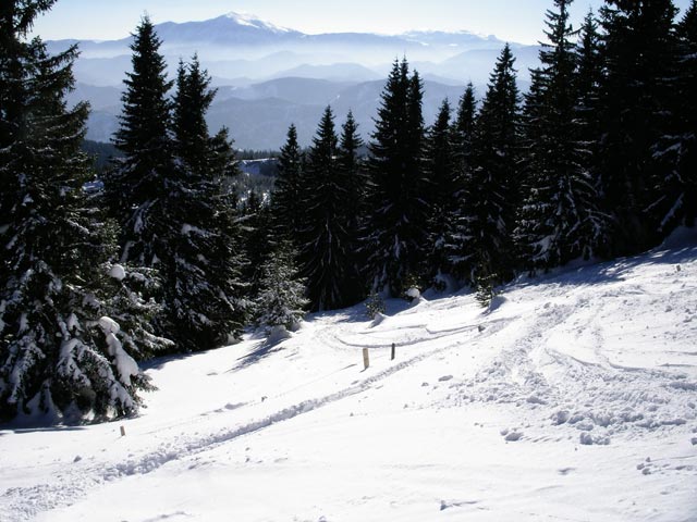 ehemalige Piste südlich des Hüttenhangs