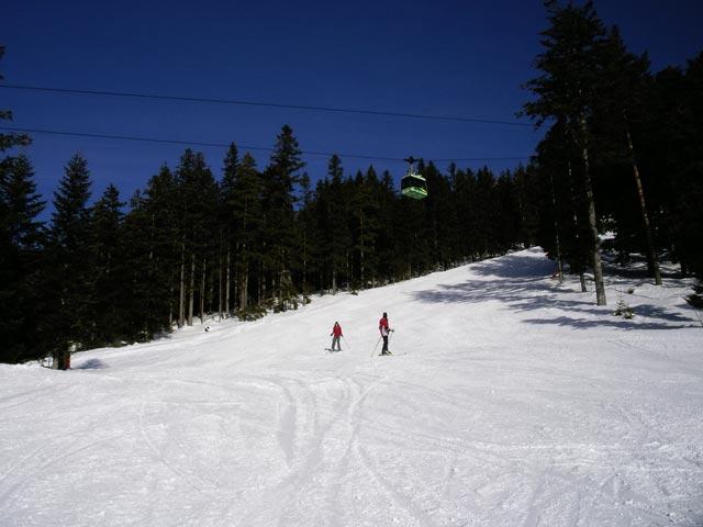 Rennpiste und Seilbahn Mariazell-Bürgeralpe