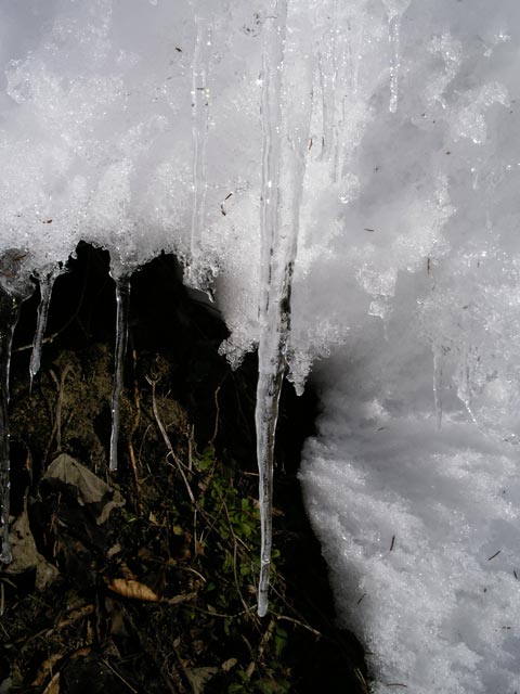 bei der Bergstation des Sonnberglifts III