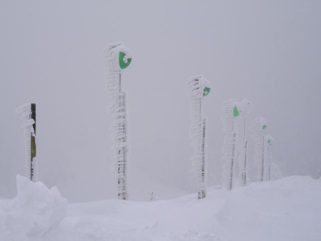 zwischen den Bergstationen der Gipfellifte und des Schneidlifts