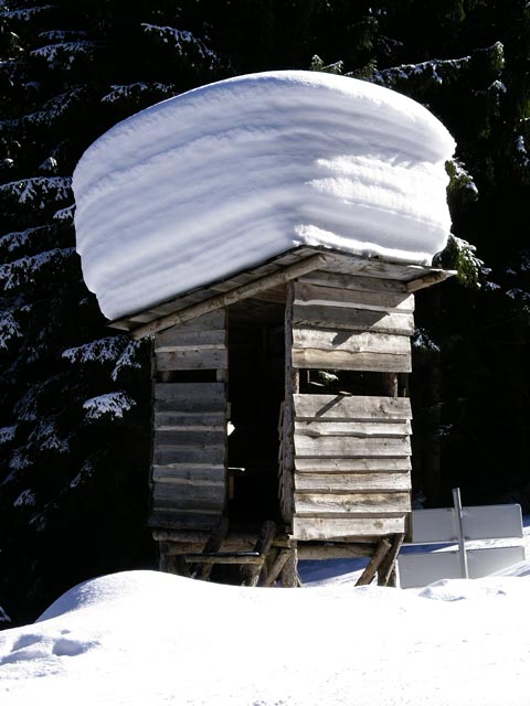 Hochstand am Kogelboden