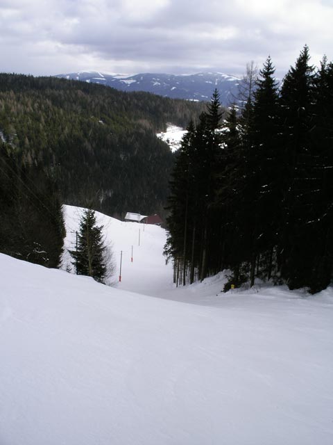 Piste Handlbauer (Kanonenrohrabfahrt)