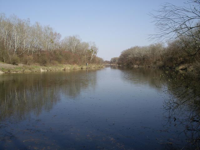 Groß Enzersdorfer Arm