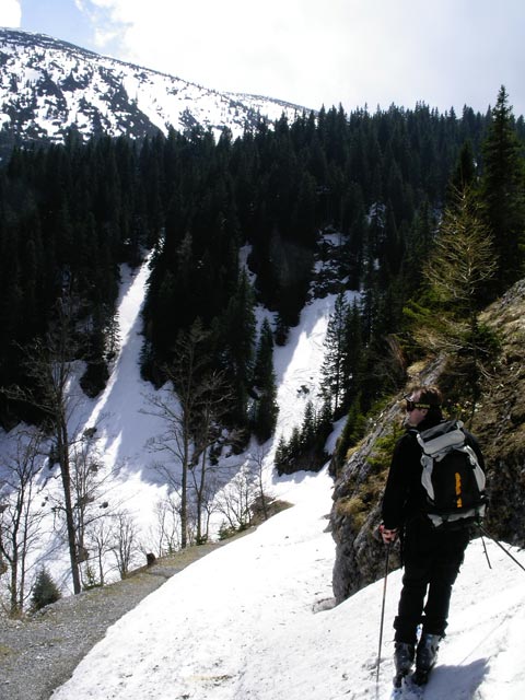 Erich zwischen Almgatterl und Sparbacherhütte