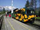 Salamander-Triebzug R 3 im Bahnhof Puchberg am Schneeberg, 577 m