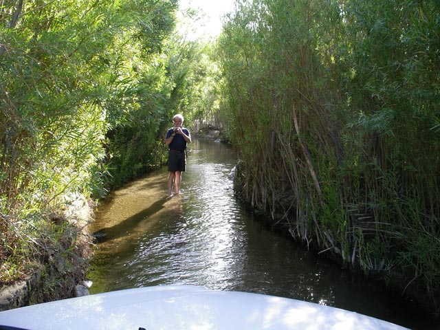 Herwig im Coyote Creek am Lower Coyote Canyon Jeep Trail (10. Mai)