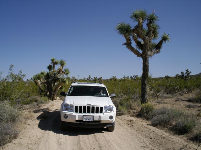 Berdoo Canyon Jeep Trail im Joshua Tree National Park (10. Mai)