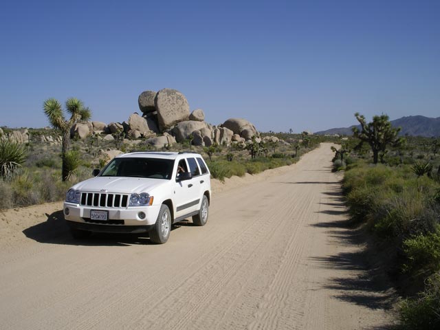 Geology Tour Road im Joshua Tree National Park (10. Mai)