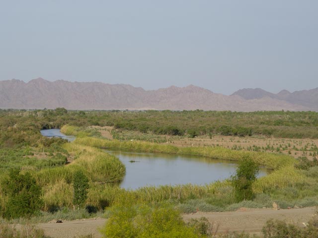 Colorado River bei Yuma (12. Mai)