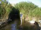 Herwig im Coyote Creek am Lower Coyote Canyon Jeep Trail (10. Mai)