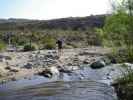 Herwig beim Coyote Creek am Lower Coyote Canyon Jeep Trail (10. Mai)