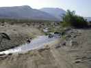 Coyote Creek am Lower Coyote Canyon Jeep Trail (10. Mai)