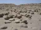 Pumpkin Patch in der Ocotillo Wells State Vehicular Recreation Area (10. Mai)