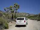 Berdoo Canyon Jeep Trail im Joshua Tree National Park (10. Mai)