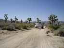 Berdoo Canyon Jeep Trail im Joshua Tree National Park (10. Mai)