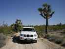 Berdoo Canyon Jeep Trail im Joshua Tree National Park (10. Mai)