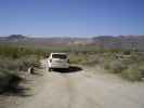 Geology Tour Road im Joshua Tree National Park (10. Mai)