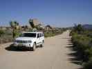 Geology Tour Road im Joshua Tree National Park (10. Mai)