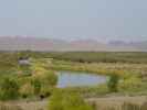 Colorado River bei Yuma (12. Mai)