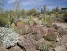 Arizona-Sonora Desert Museum (14. Mai)