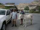 Papa und Herwig in Oatman (17. Mai)