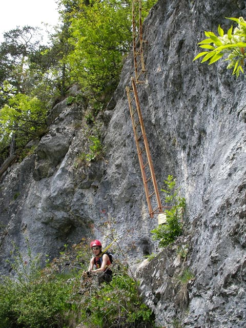 BGV-Klettersteig: Carmen bei der Leiter