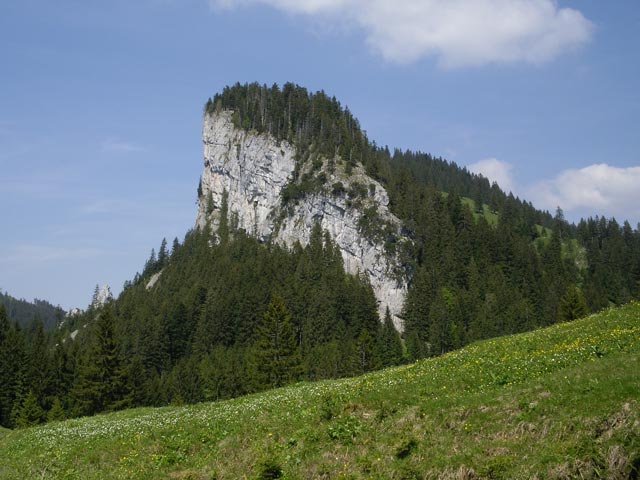 Schöner Mann (10. Juni)