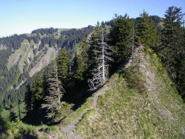 Valüraweg zwischen Vorderhörnle und Hörnle (11. Juni)