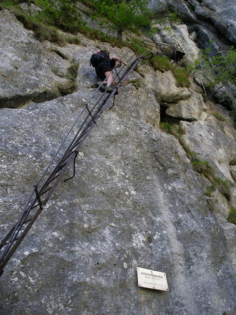 Alpenvereinssteig: Gudrun auf der ersten Leiter