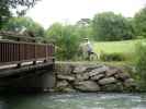 Ich am Biedermeier-Radwanderweg zwischen Ober-Piesting und Markt Piesting