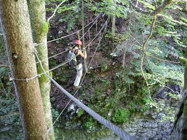 Klettersteig Postalmklamm: Carmen auf der Dschungelbrücke