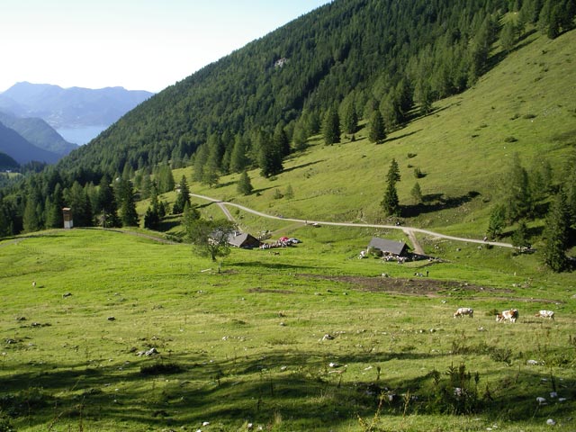 Niedergadenalm, 1.228 m