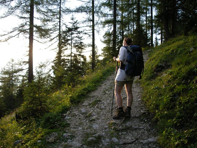 Daniela zwischen Holzeralm und Gowilalmhütte (18. Aug.)