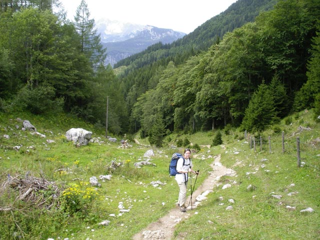 Daniela zwischen Rohrauerhaus und Bosruckhütte (19. Aug.)
