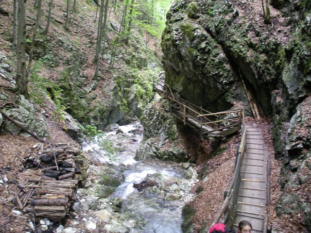 Dr. Vogelgesangklamm (19. Aug.)