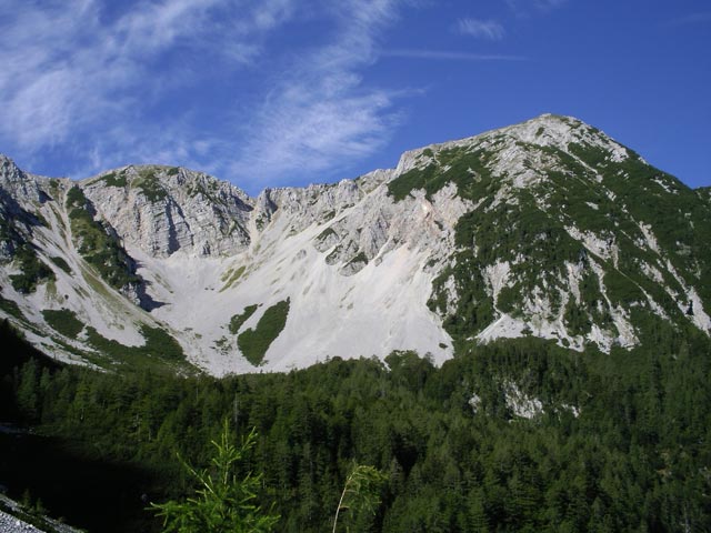 Weinaschkar (2. Sep.)