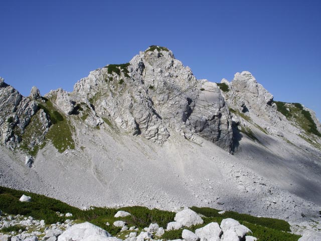 Edelwei&szlig;spitze (2. Sep.)