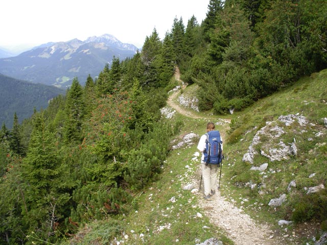 Daniela zwischen B&auml;rensattel und Belska Planina (3. Sep.)