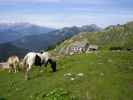 Belska Planina (3. Sep.)