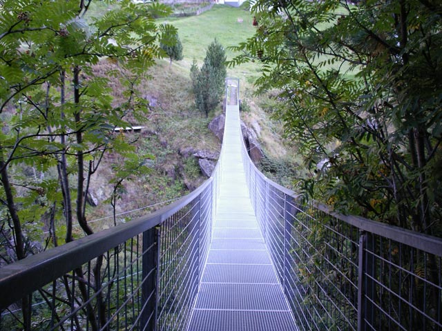 H&auml;ngebr&uuml;cke Rofen (9. Sep.)