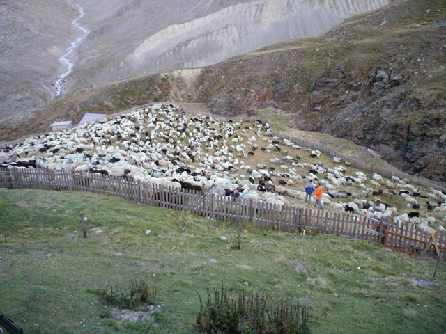 bei der Martin-Busch-Hütte (10. Sep.)