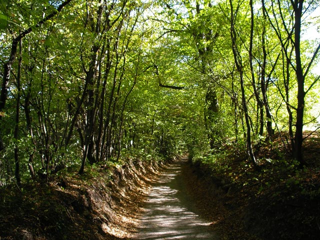 Triestingtal-Radweg zwischen Pottenstein und Berndorf