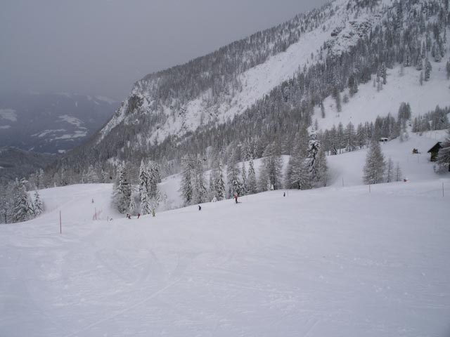 Watschiger-Alm-Abfahrt