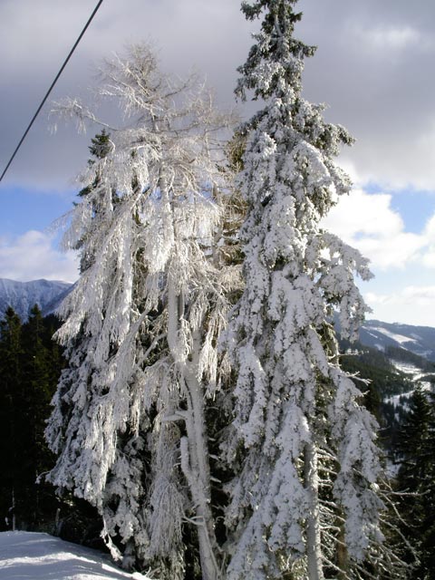 bei der Bergstation der Niederalplbahn