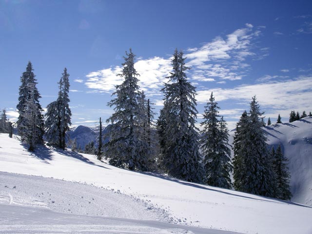 bei der Bergstation des Schlepplifts Spitzplaneck