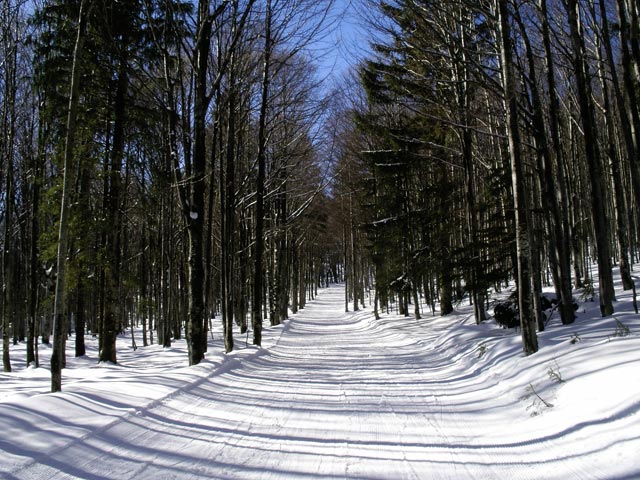 Umfahrung Sonnenhang