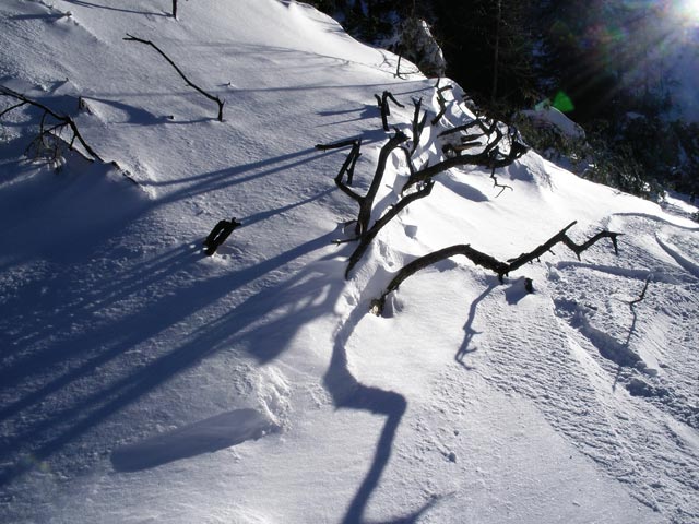 neben der Ochsenboden-Abfahrt